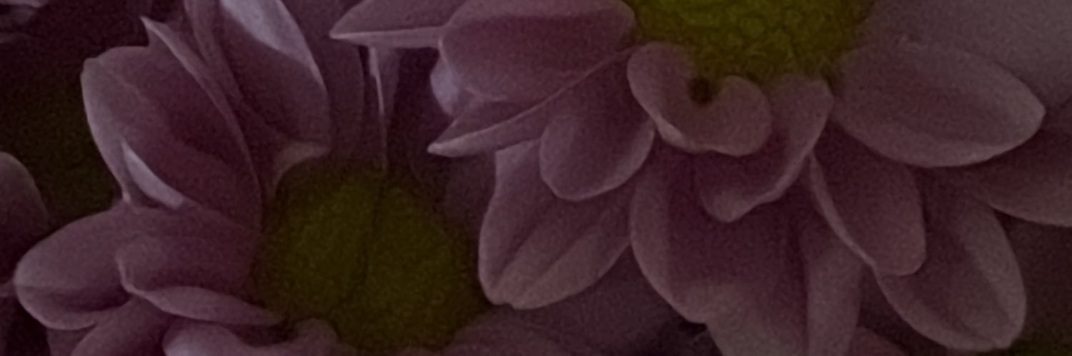 _alexapdiaz's profile banner image