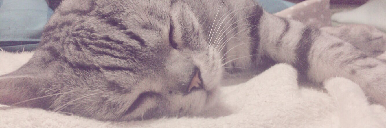 yuka_4258's profile banner image