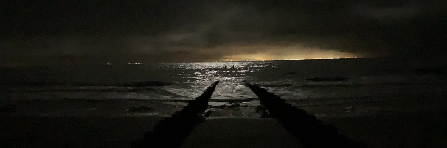 Peter Schultz banner