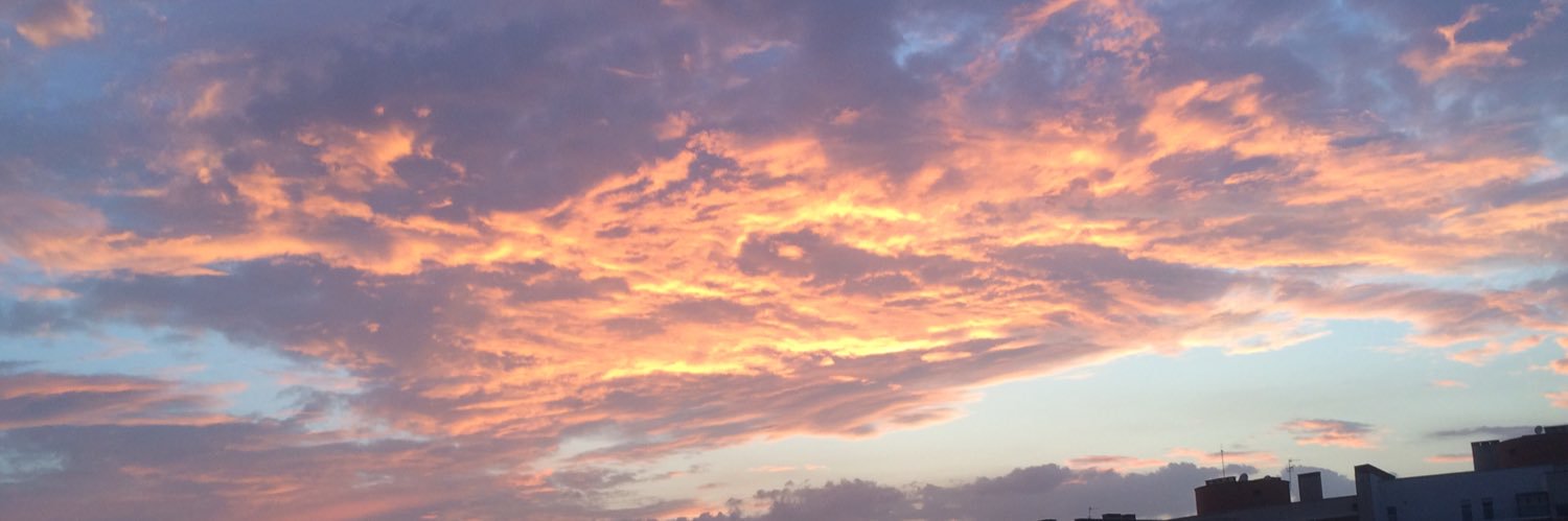 FTostivint's profile banner image