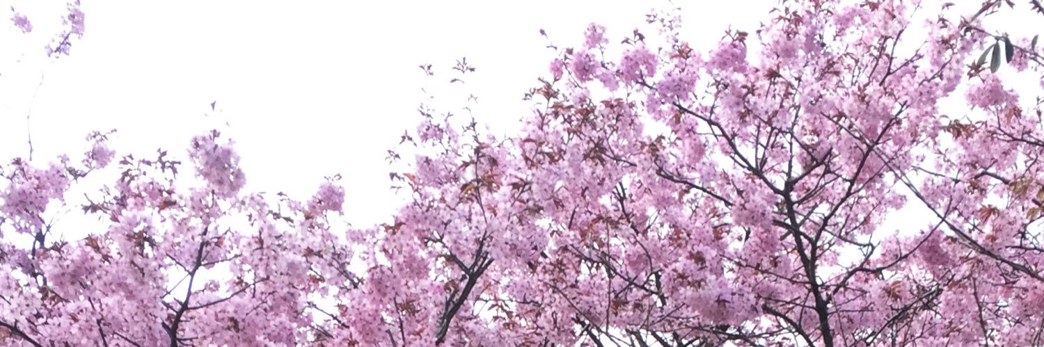 sehrkf1's profile banner image