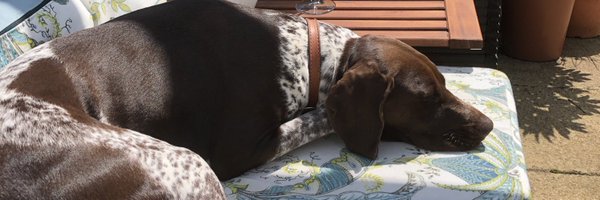 cfodonnell99 Profile Banner