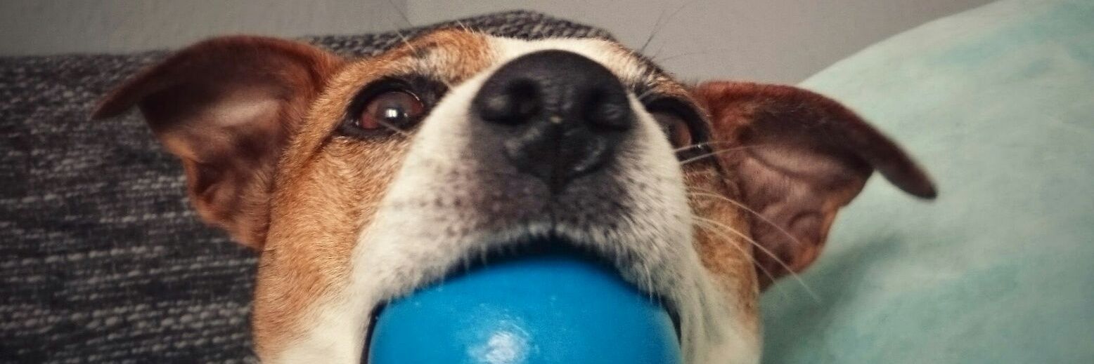 Kupi85's profile banner image