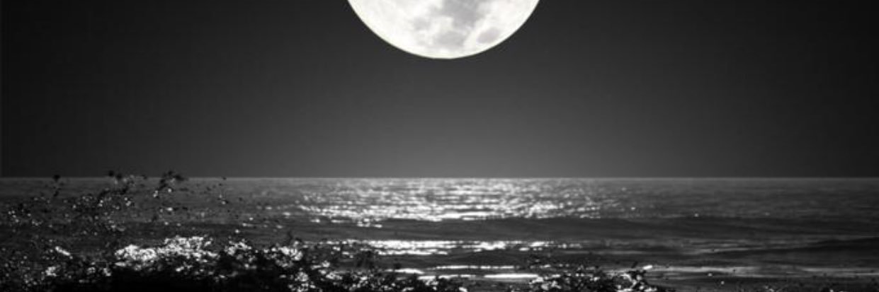 abdullahhq1399's profile banner image