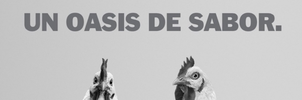 tabique1978's profile banner image