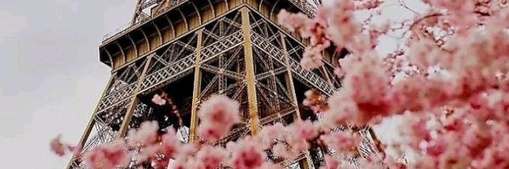 FuentesShiir's profile banner image