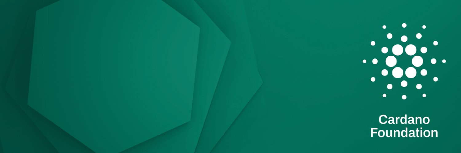 melbomccann's profile banner image