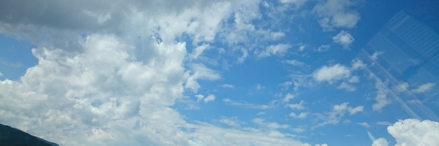 rai_Vegeta's profile banner image