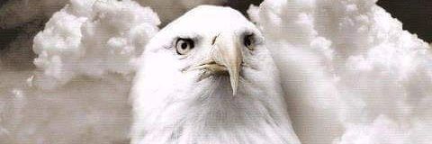 EagleForaMedia's profile banner image