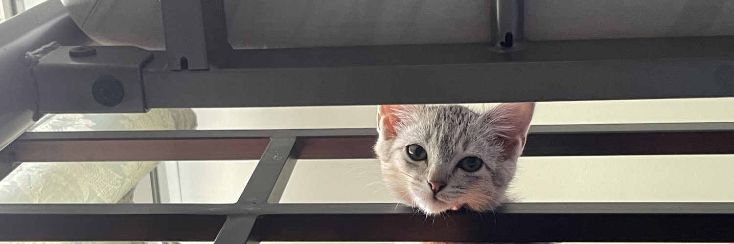 queenrnmae's profile banner image