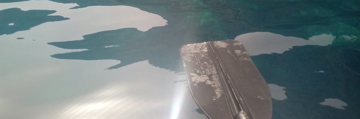 dksury's profile banner image