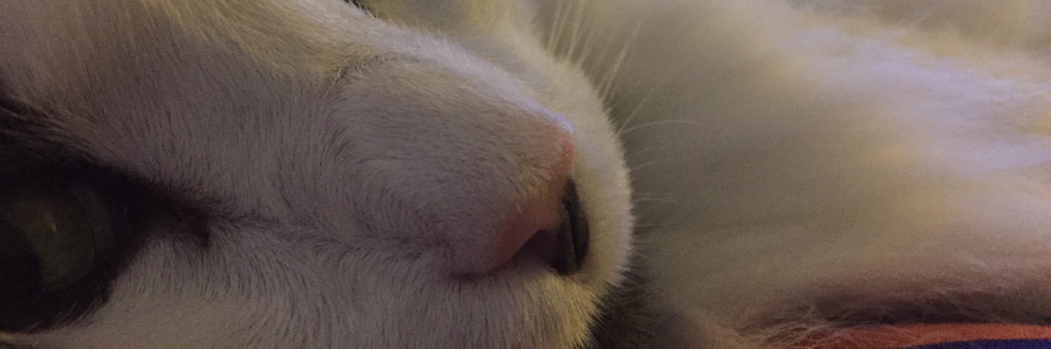 Not_Doris_Day's profile banner image
