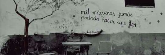 YolandaClein's profile banner image