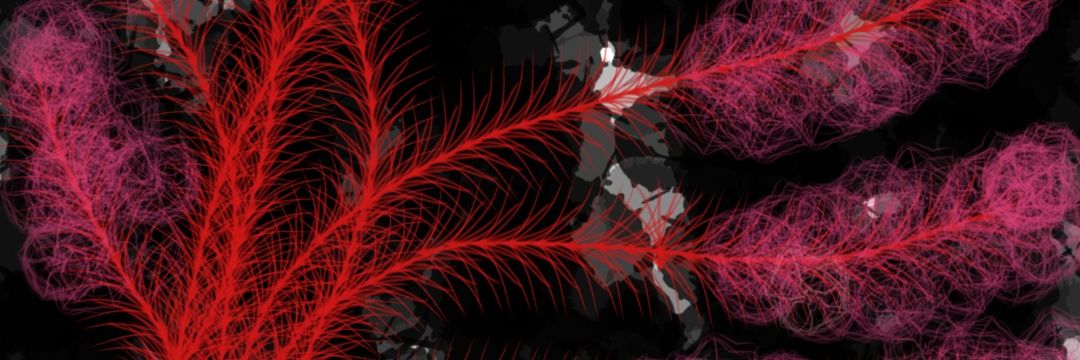 chiwalay's profile banner image