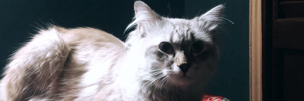 khloudomarr's profile banner image