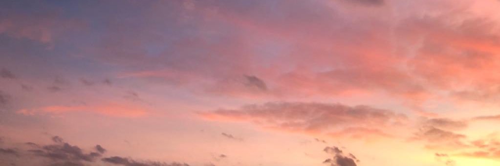 d1larassl's profile banner image