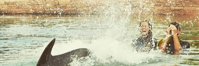 GabriellaSpree's profile banner image