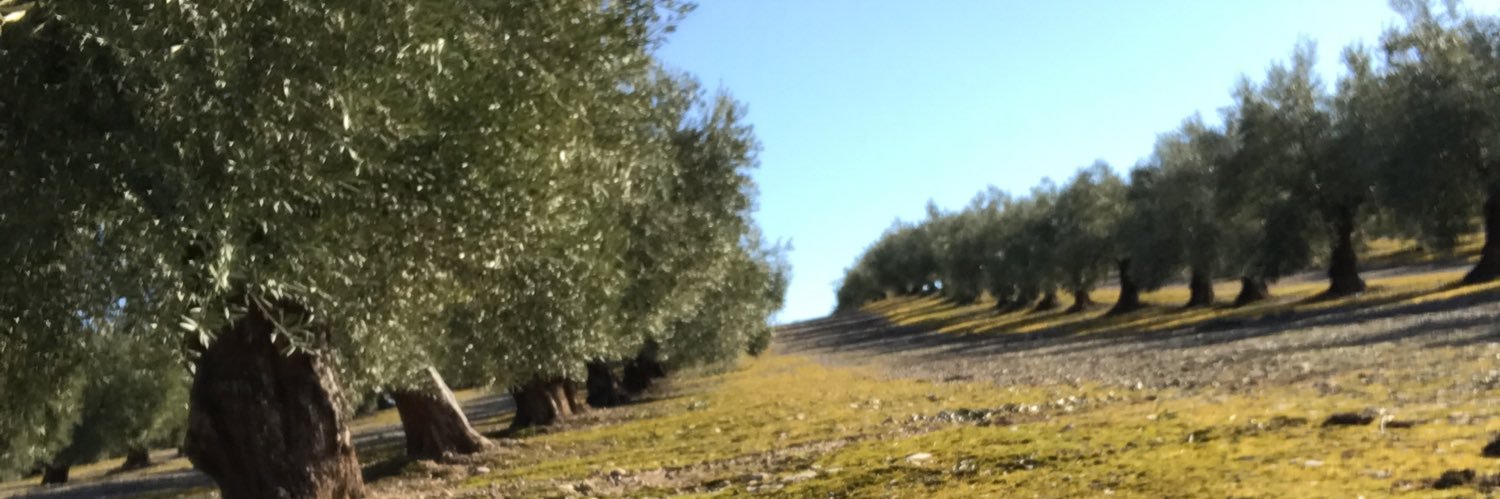 CespedosaLopez's profile banner image
