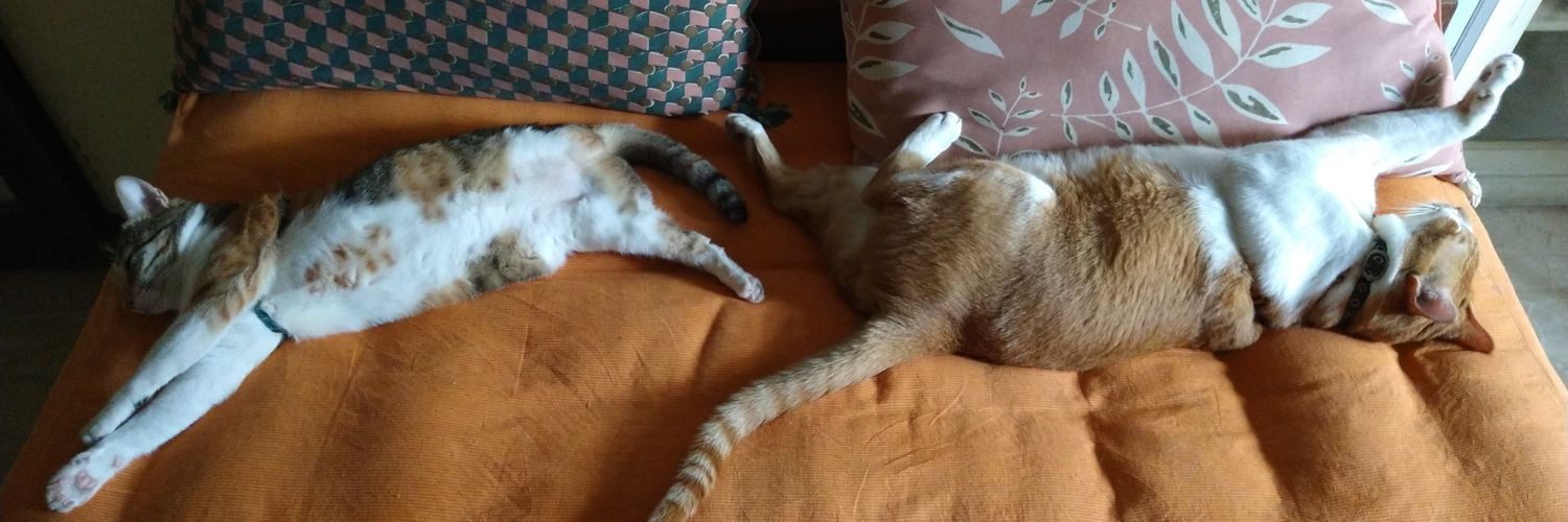 🍉🚜 چھوی / Chhavi 😷 banner