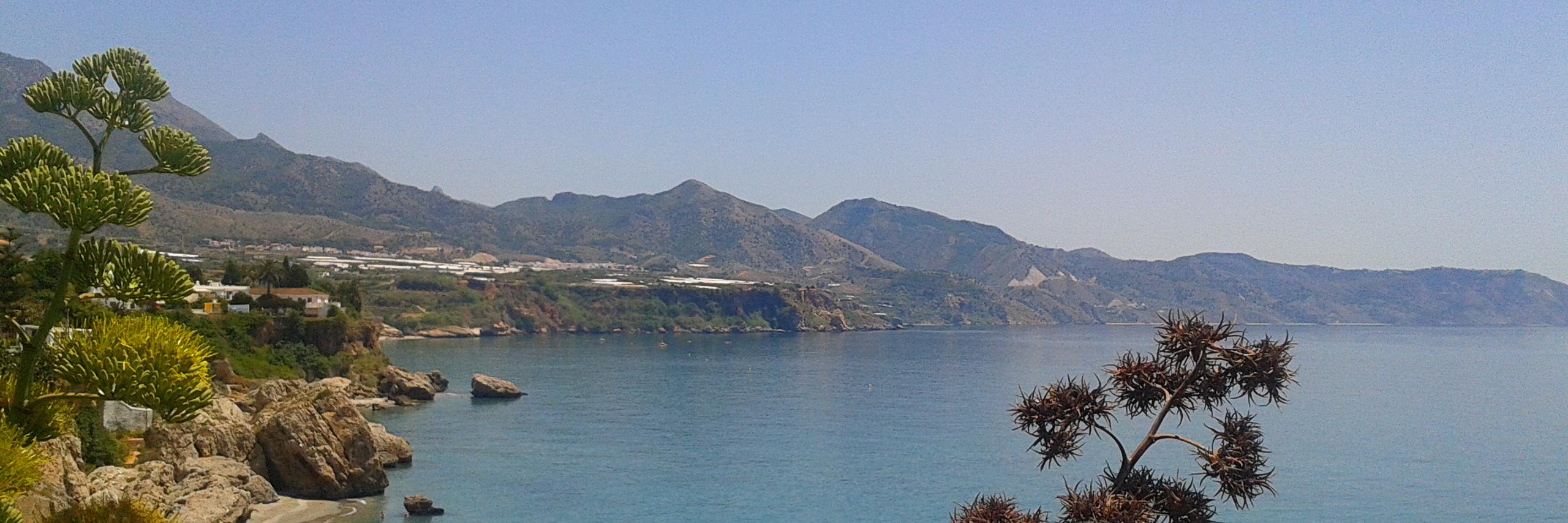 Stephanie Senger banner