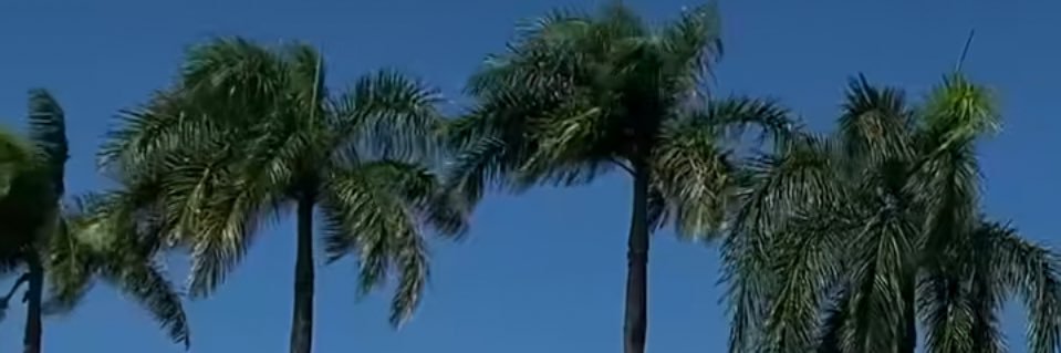 dyale50's profile banner image