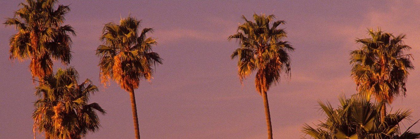 _nipples_HarryS's profile banner image
