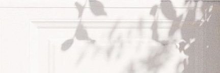 _Mn0l's profile banner image
