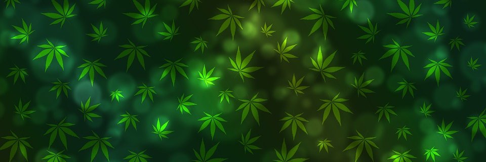 Medical Marijuana Pages banner