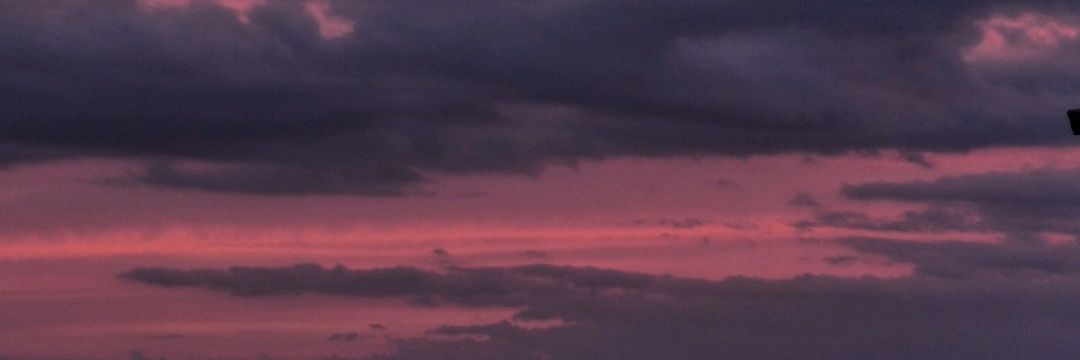 carrion216's profile banner image