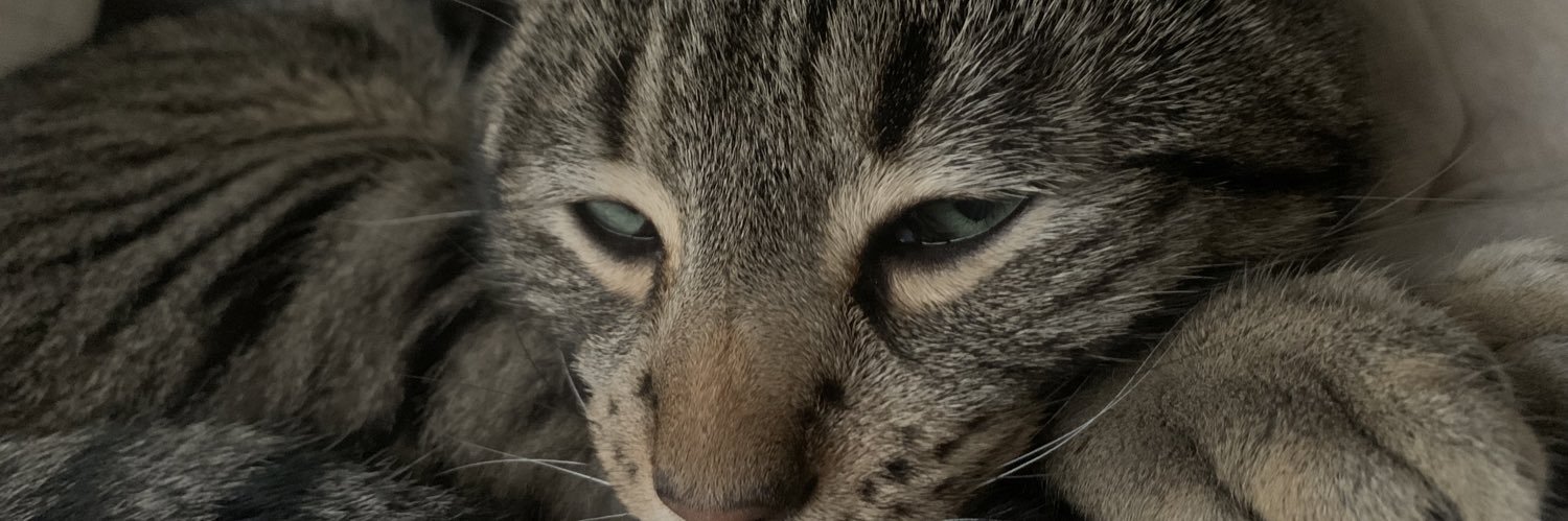 DewainL's profile banner image