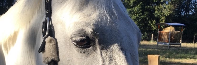 ninon_hl's profile banner image