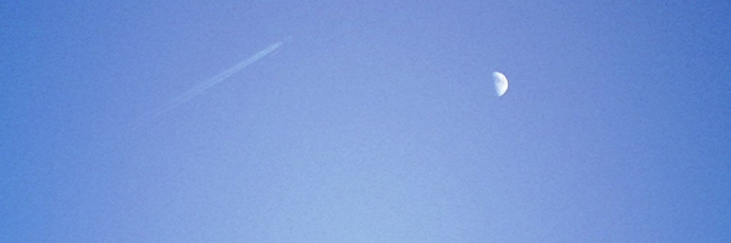 yaupgmt's profile banner image