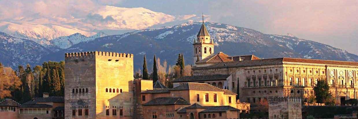 arantxa_toms's profile banner image