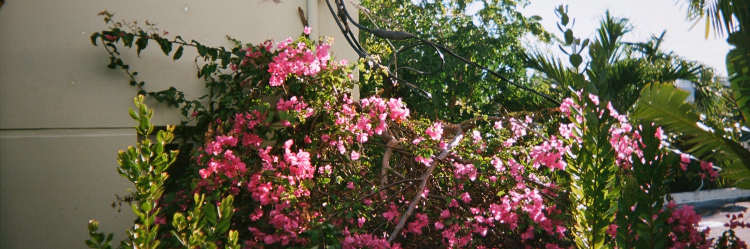 J–c banner