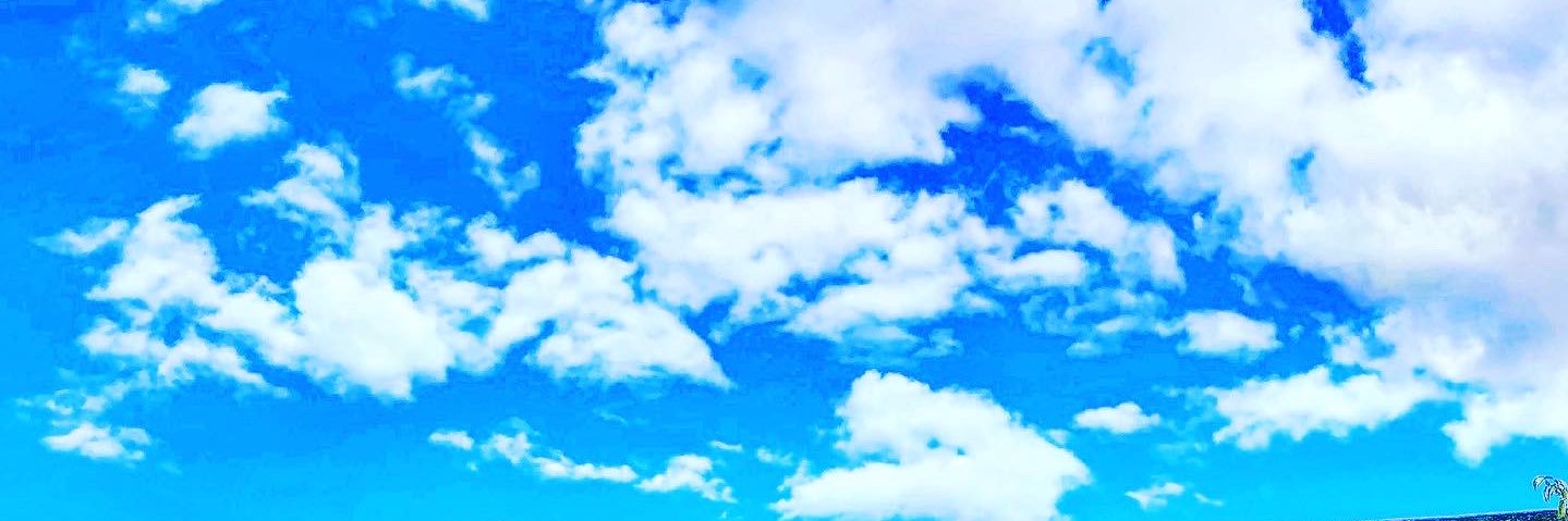 bl_yu_ol's profile banner image