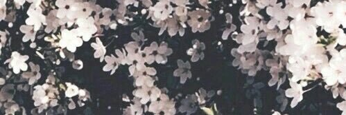 Annikabet's profile banner image