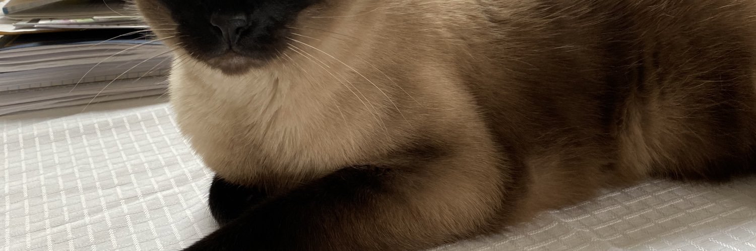 Barbara Thaler banner