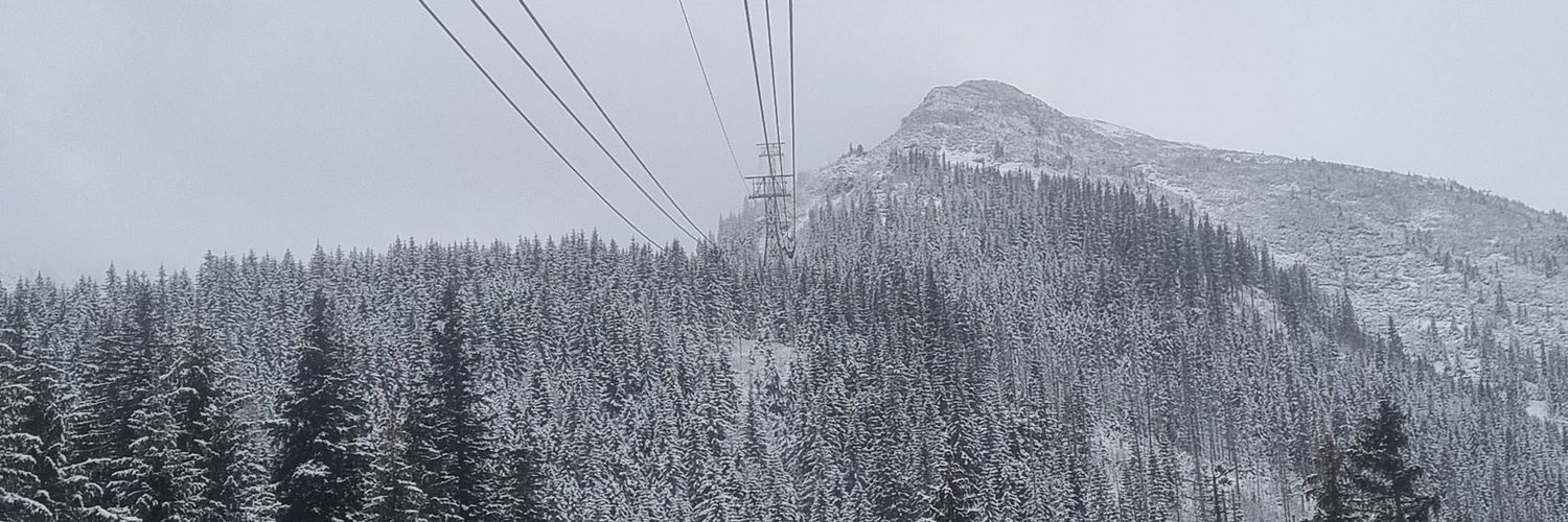 Jay banner
