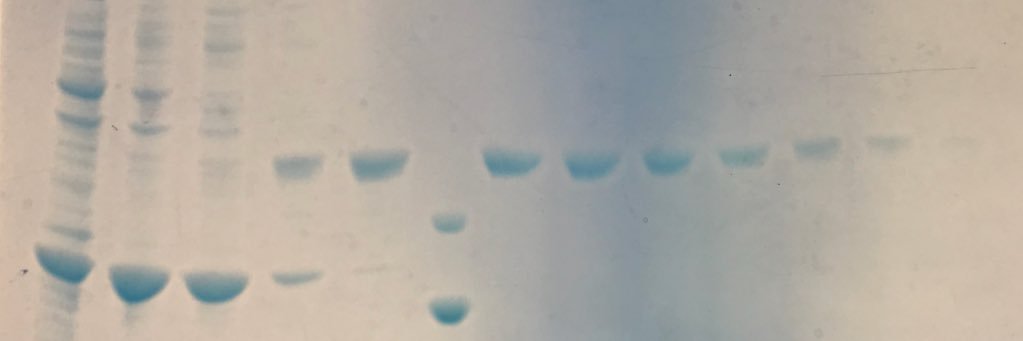 Chris Berndsen banner