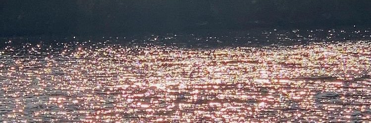 _sarang02's profile banner image