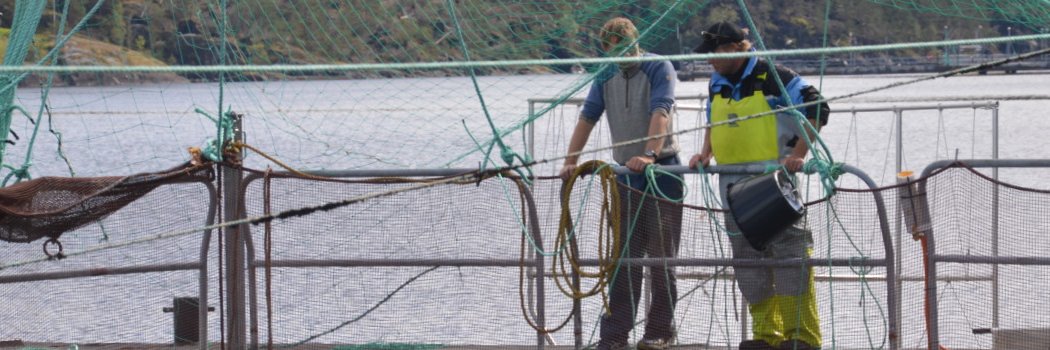 SalmonJobs banner