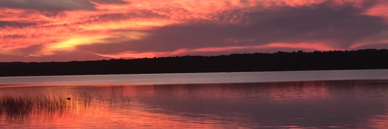 CottoneMegan's profile banner image