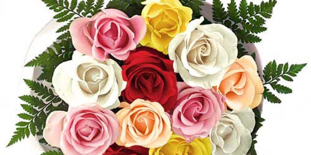 RoseESATX's profile banner image
