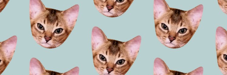 Lewis banner