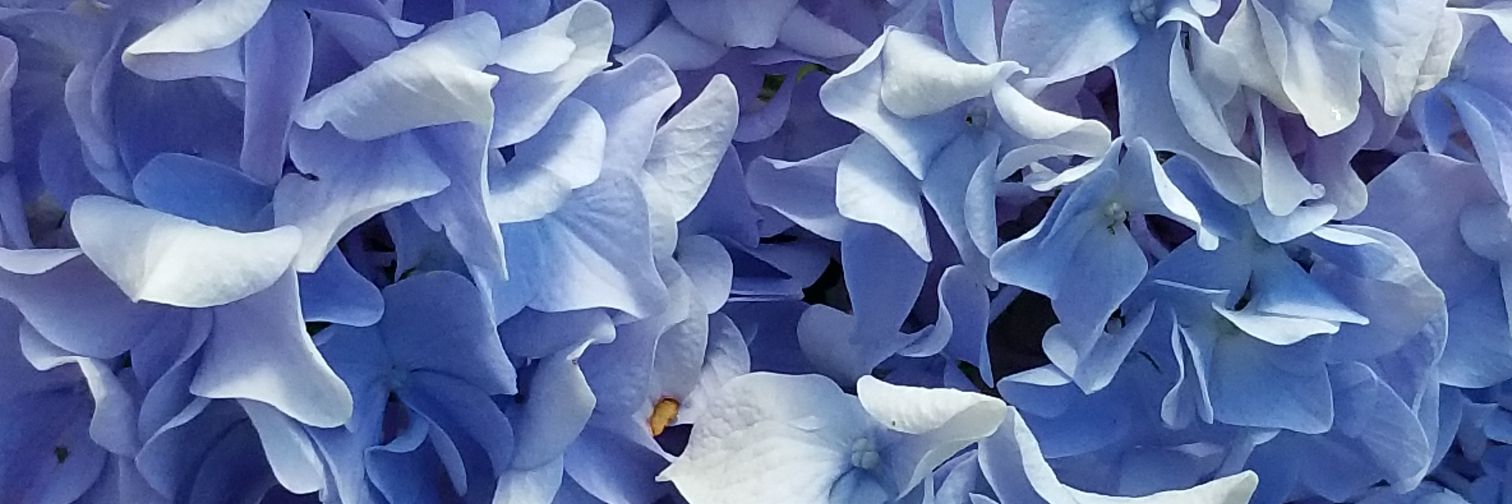 Carricklyn's profile banner image