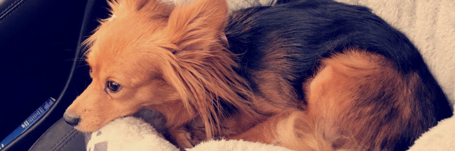 Haleigh_Pollard's profile banner image