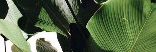 KevinNFTx's profile banner image