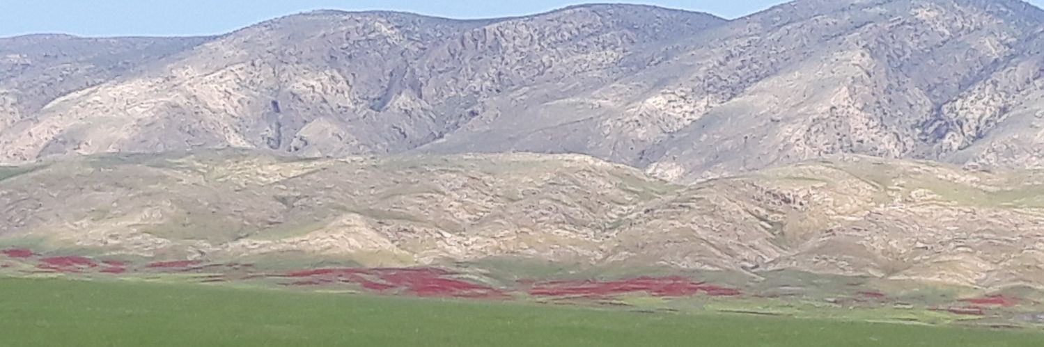 يونس الرسيمي الشمري banner