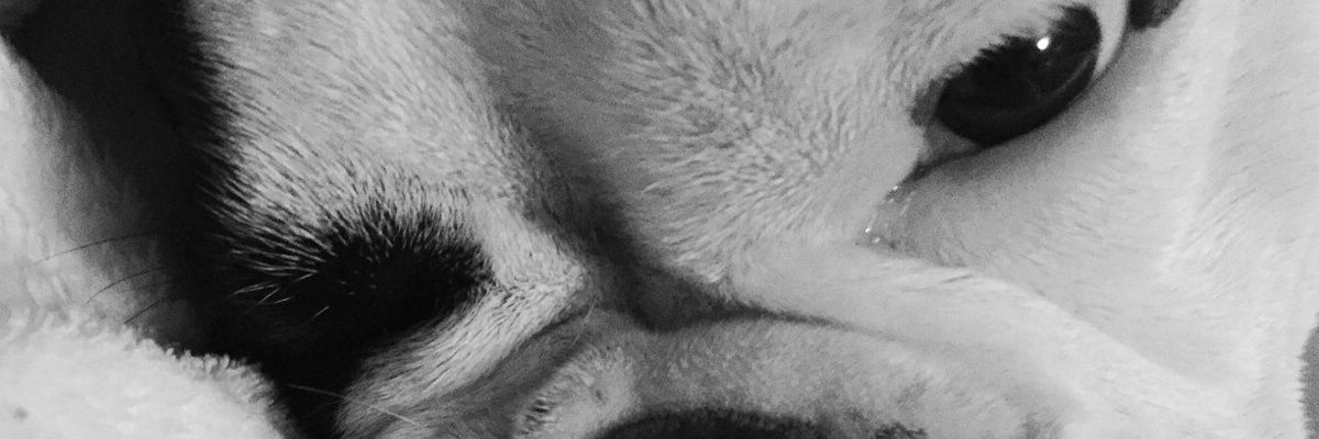 Dannnitap's profile banner image