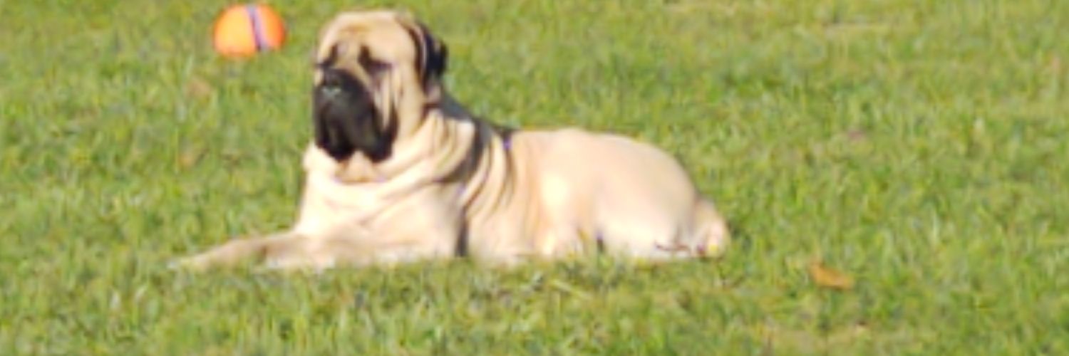 WaltTaylor3's profile banner image